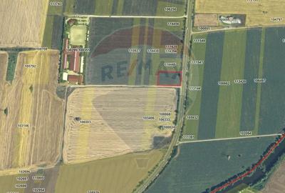Teren agricol intravilan de 4000 mp, în Snagov - 2
