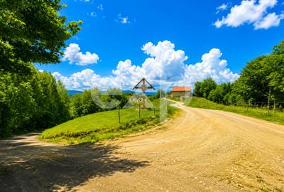 Teren agricol extravilan de 7265 mp, în Poiana Mărului
