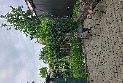 Apartament cu 3 camere decomandat în Apahida - 6