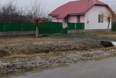 Casă cu 2 camere cu Teren 1439 Mp în Cruceni - 8