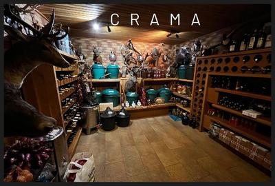 Casă individuală cu 5 camere cu Teren 2548 Mp în Băneasa - 8