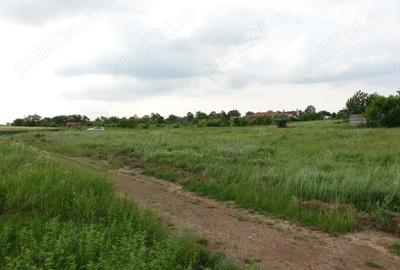 Teren de 10100 mp, în Tâncăbești - 10