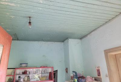 Casă cu 3 camere cu Teren 1360 Mp în Dridu - 7