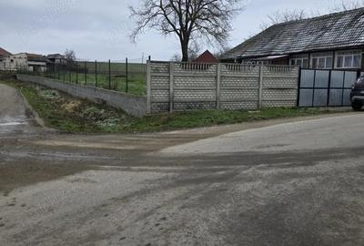 Casă cu 2 camere cu Teren 110 Mp în Pachia - 4