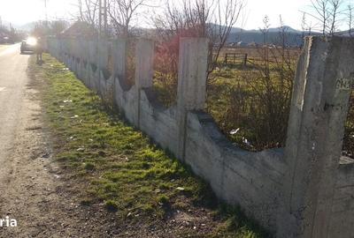 Teren de 700 mp, în Săvinești - 1