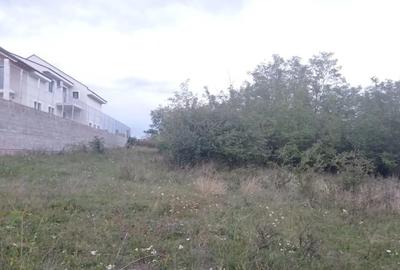 Teren de 1001 mp, în Cetate - 2