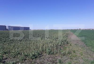 Teren de 30000 mp, în Aradului - 3