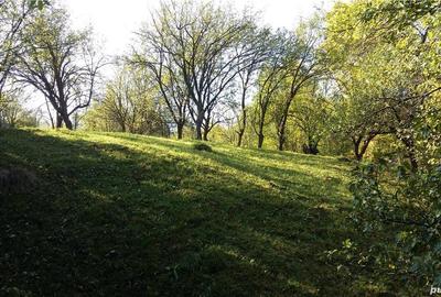 Teren de 2280 mp, în Cerașu - 4