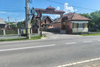 Teren de 2600 mp, în Moglănești - 1