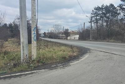 Teren Construcții intravilan de 49284 mp, în Agigea - 2