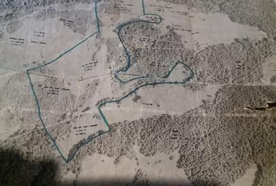 Teren agricol extravilan în Vărbilău