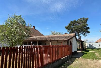 Casă individuală cu 2 camere cu Teren 4610 Mp în Ultracentral - 11