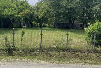 Casă cu 3 camere în Dumbrava - 5