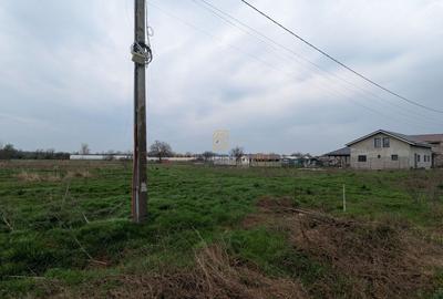 Teren Construcții intravilan de 705 mp, în Copăceni - 6