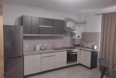 Apartament cu 2 camere decomandat în Turnișor - 2