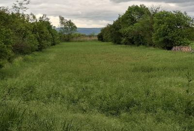 Teren de 10000 mp, în Unguriu - 3