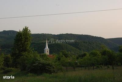 Casă cu 3 camere cu Teren 609 Mp în Uileacu de Beiuș - 11