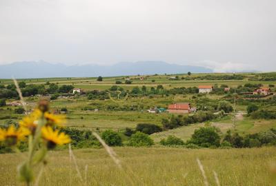 Teren agricol intravilan de 1500 mp, în Daia - 3