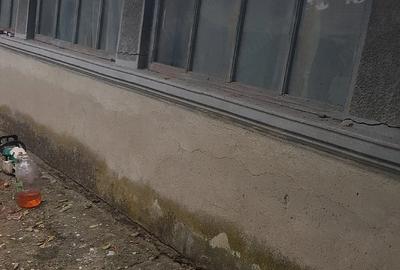 Casă cu 4 camere cu Teren 1000 Mp în Crivăț - 3