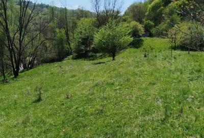 Teren de 7795 mp, în Golești