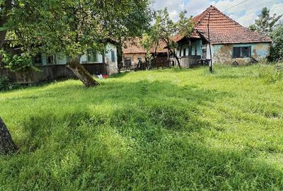 Casă cu Teren 200 Mp în Stoieneasa - 1