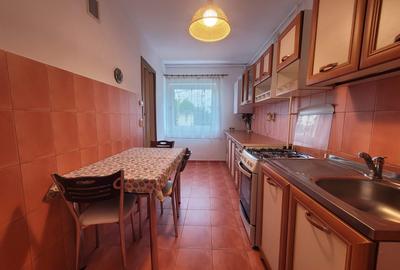Apartament cu 3 camere decomandat în Scriitorilor - 1