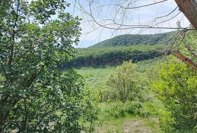 Teren de 2611 mp, în Beriu