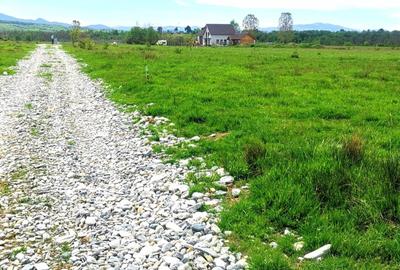 Teren de 8000 mp, în Avrig - 2
