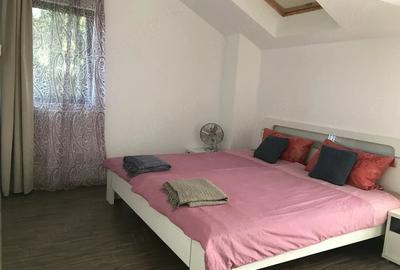 Casă cu 2 camere cu Teren 250 Mp în Mănăștur - 2
