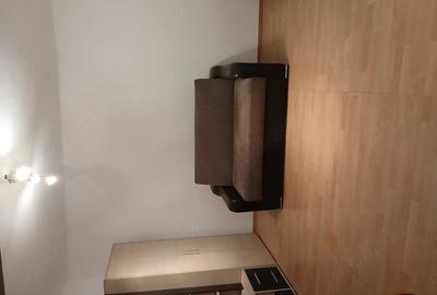 Casă cu Teren 248 Mp în Andronache - 3