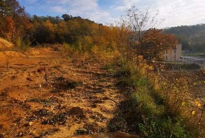 Teren de 1500 mp, în Calea Caransebeșului - 4