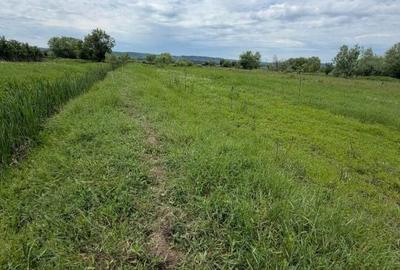 Teren de 6000 mp, în Central - 4
