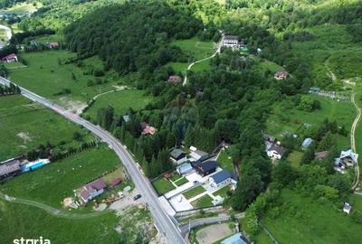 Teren de 1500 mp, în Tulnici - 6