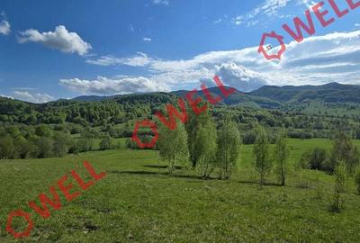 Teren de 1740 mp, în Vama Buzăului - 8