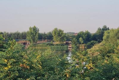 Teren Construcții intravilan de 1000 mp, în Clinceni - 3