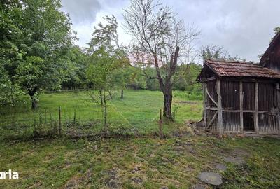 Casă cu 3 camere semidecomandat cu Teren 2200 Mp în Gornești - 10