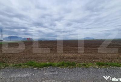Teren de 11620 mp, în Hărman