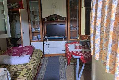 Casă cu 2 camere cu Teren 250 Mp în Burdea - 4