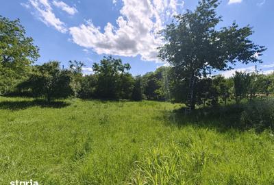 Teren de 2000 mp, în Dăești - 2