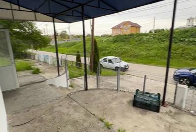 Casă cu 3 camere cu Teren 4000 Mp în Mihăești - 9