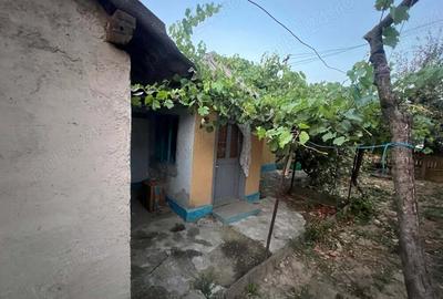 Casă cu 4 camere cu Teren 720 Mp în Mahmudia - 5