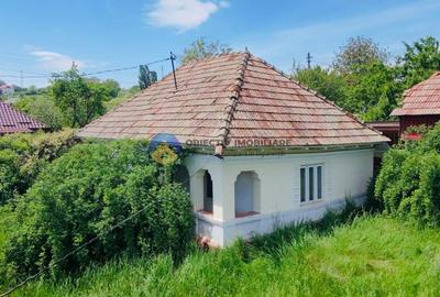 Casă individuală cu 2 camere cu Teren 2273 Mp în Grumăzești - 11