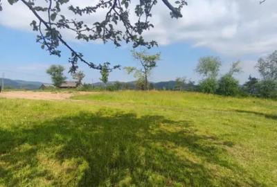 Casă cu 3 camere cu Teren 5000 Mp în Rădăuți