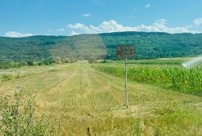Teren de 2700 mp, în Șerbăneasa