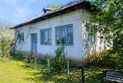 Teren de 1300 mp, în Mischii