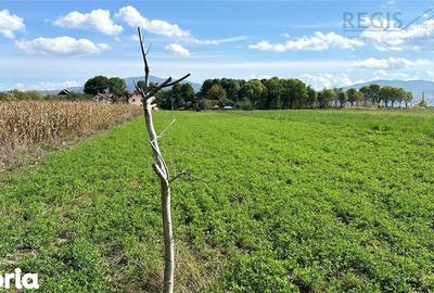 Teren de 3600 mp, în Prejmer - 2