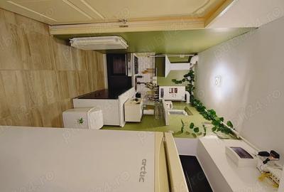 Apartament cu 2 camere decomandat, mobilat în Viitorului - 4