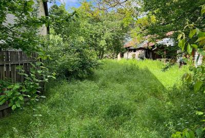 Casă individuală cu 4 camere cu Teren 2500 Mp în Șirna - 16