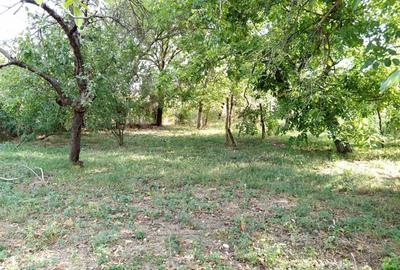 Casă individuală cu 6 camere cu Teren 1151 Mp în Ciuchici - 14