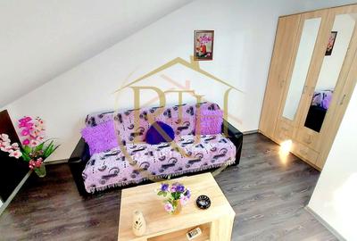 Apartament cu 2 camere semidecomandat, mobilat în Iosefin - 7